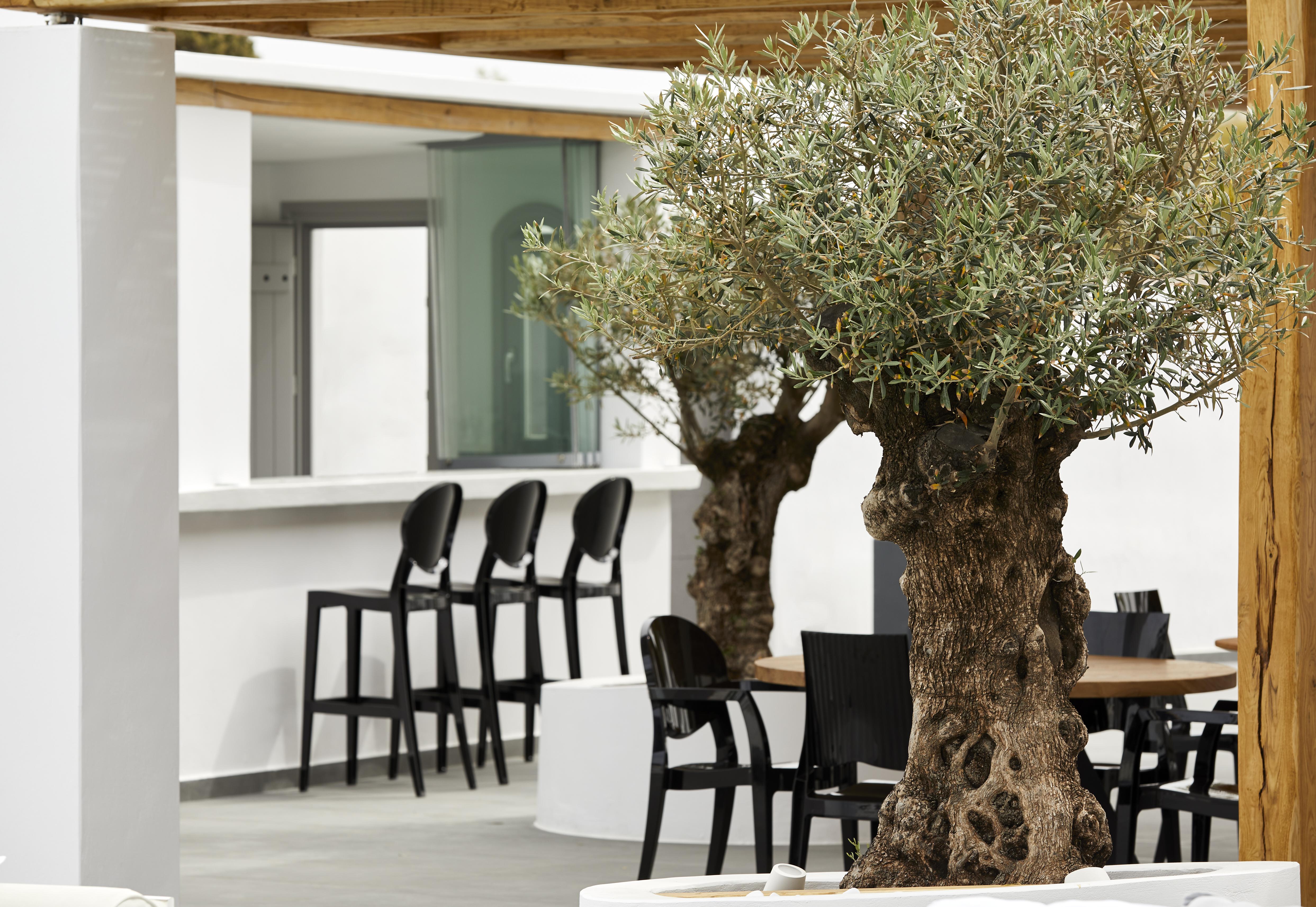 Kalisti Hotel & Suites Fira  Dış mekan fotoğraf